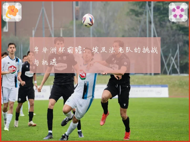 年非洲杯前瞻：埃及法老队的挑战与机遇