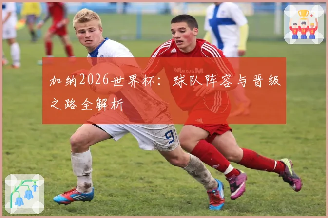 加纳2026世界杯：球队阵容与晋级之路全解析