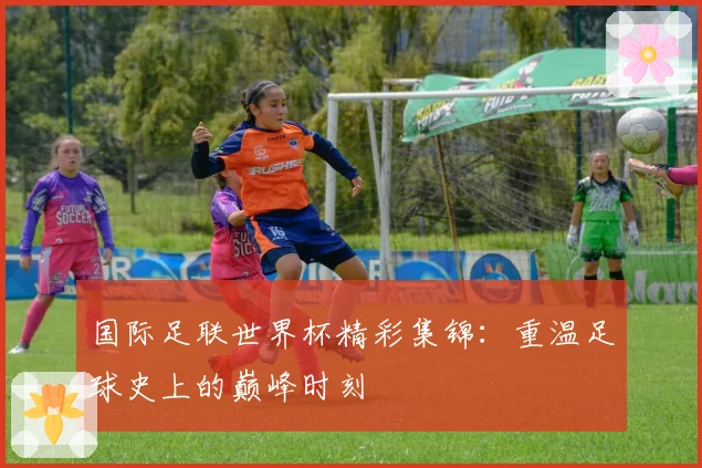 国际足联世界杯精彩集锦：重温足球史上的巅峰时刻