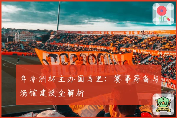 年非洲杯主办国马里：赛事筹备与场馆建设全解析