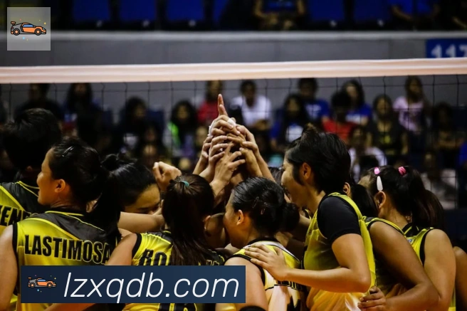 leyu乐鱼官方网站服务体系